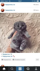 dasha.yakushenko.1
