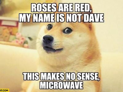A Dogere???
