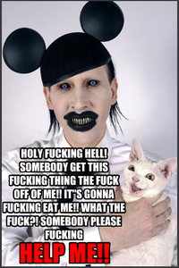 Poor cat lol
