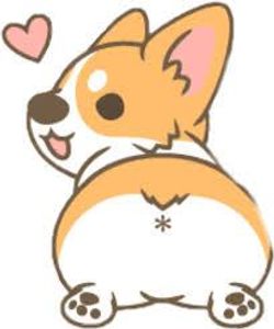 Lil corgi for the dog peoples