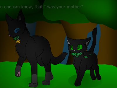 Nightfrost & Blackpaw