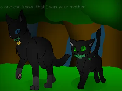 Nightfrost & Blackpaw
