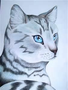 SilverKitten SilverKitten