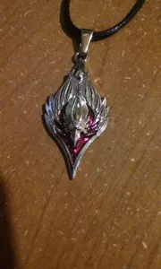 Look at the necklace my dad ordered for me
