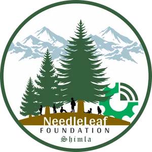 needleleaffoundation3