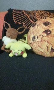 I got stuff from the store