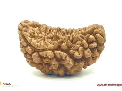 dhanshreegems's Photo