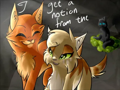 Sandstorm, leaving for the gorgeous Fireheart (his name currently)!