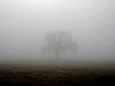 Shrouded_in_Mist