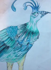 My drawing of a bird