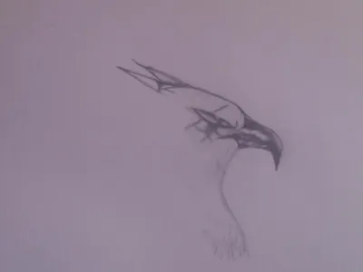 I cant find the picture I based this from! DX Well anyway I hope you like my Hippogriff!