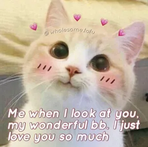 SadKitten's Photo