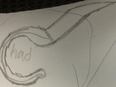 Mr.Chad