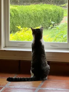 InfiniSpec69's Photo