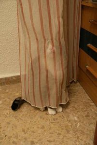 I only see a curtain and a drawer!