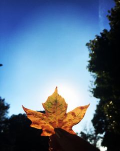 It hurt my eyes to take this picture *-*