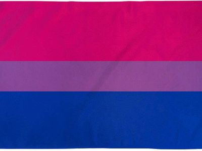 Proud to own this flag bitch lmao