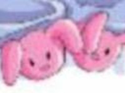 Face Reveal!