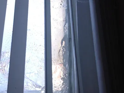So cold here ice has formed on the inside of my window 0.0