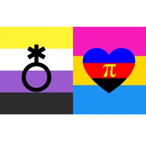 non-binary polynanous pansexual