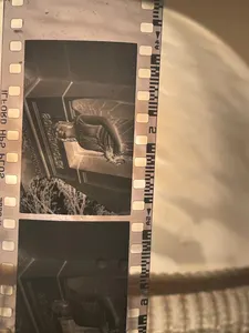 analog.whore's Photo