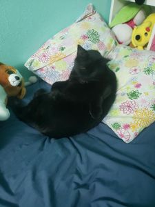Rare footage of Tuna/Luna