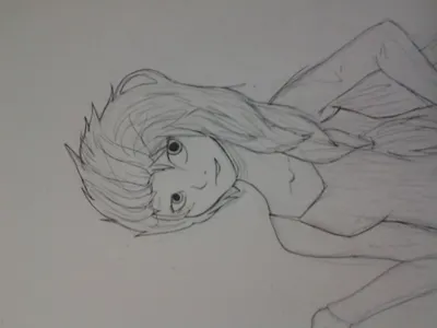 Ragdoll's Photo