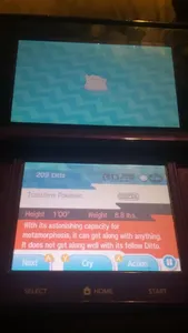 I JUST CAUGHT A DITTO I AM FLIPDANG EXCITED