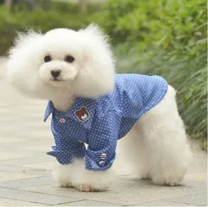 dog models are so cute