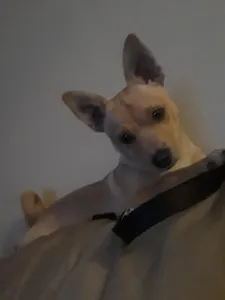 He's calm now