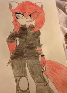 Ash the red husky