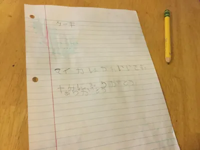 I wrote Japanese