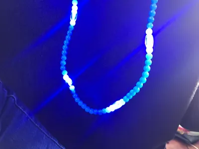 The necklace I got