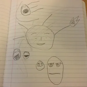 My solar system in a nutshell