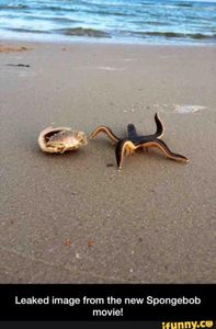 The starfish actually scared me