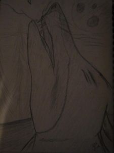 Howling into the night air