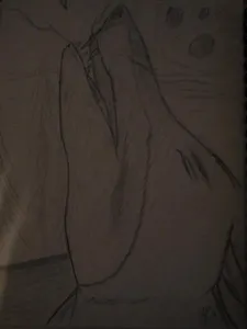Howling into the night air