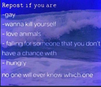 I’m all of these