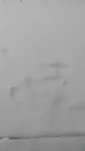 IT SNOWIN IN FLORIDA