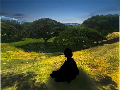 Shadows fade away while time flies