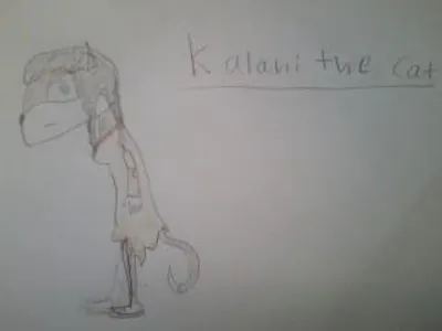 Kalani the cat