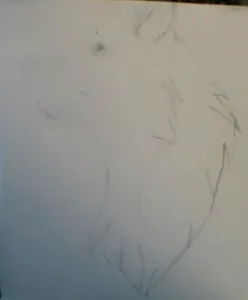 I just drew this, srry if it is hard to see...