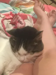 He is sleeping it is soo cute:3