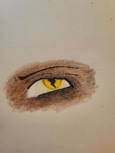 For idiot- Lichens eye