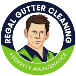 regalgutterclean
