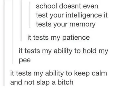 TRUE TRUE TRUUUUUUUE