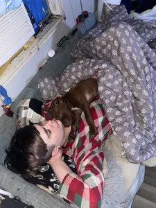 Attack.helicopter's Photo