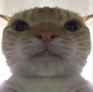 SussyImpostorAmogus