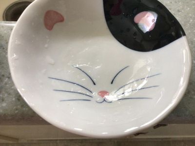 Catty bowl!