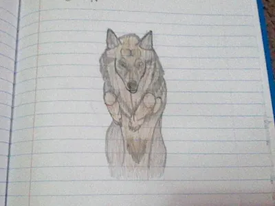 i drew a wolf :DDD [R8 PLZ]